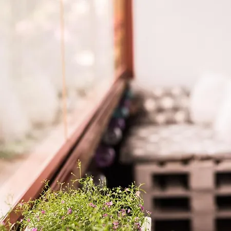 Апартаменты Pollupesa Хаапсалу